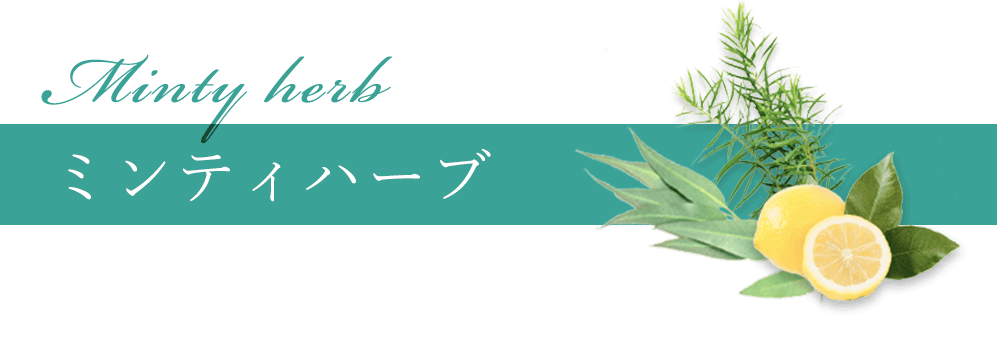ミンティハーブ